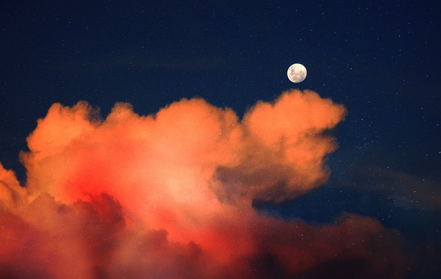 The Great Smog & Clean Air Act Quiz