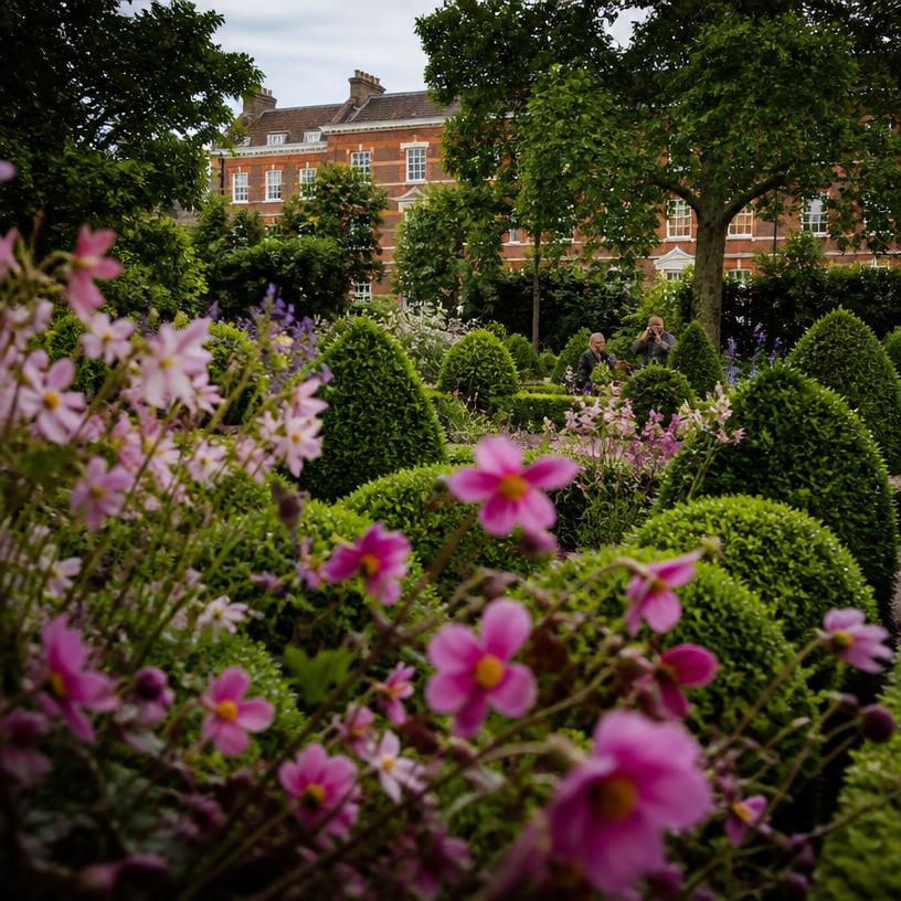 Garden Glory: Uncovering Chelsea